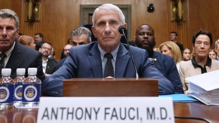 In a dramatic Senate hearing regarding the COVID-19 pandemic, Dr. Anthony Fauci repeatedly invokes the Fifth Amendment.